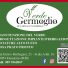 VERDE GERMOGLIO