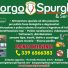 BORGO PANIGALE SPURGHI & SERVIZI