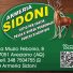 ARMERIA SIDONI