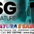 DSG VERNICIATURE