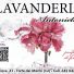 LAVANDERIA ANTONIETTA