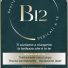 BEAUTY LOUNGE B12
