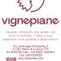 VIGNE PIANE